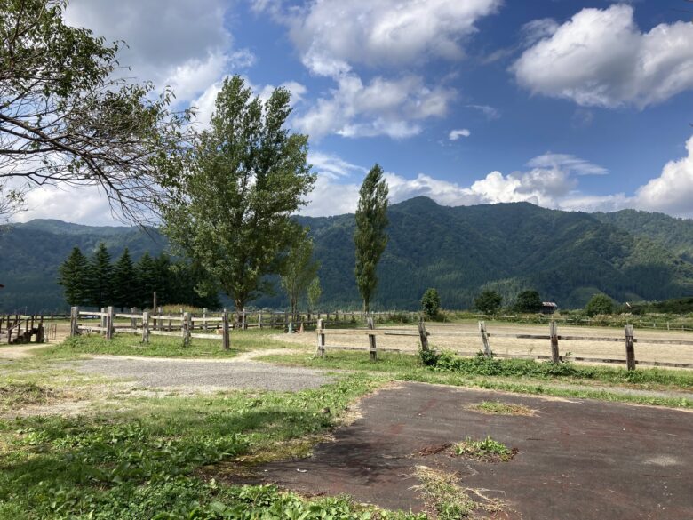 前森高原の写真