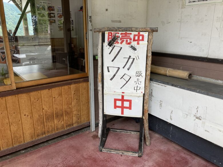 クワガタ販売中の看板